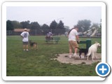 16_500  Gene giving Crystal and Sheba some more water as the other gentleman leaves with his shepherd.